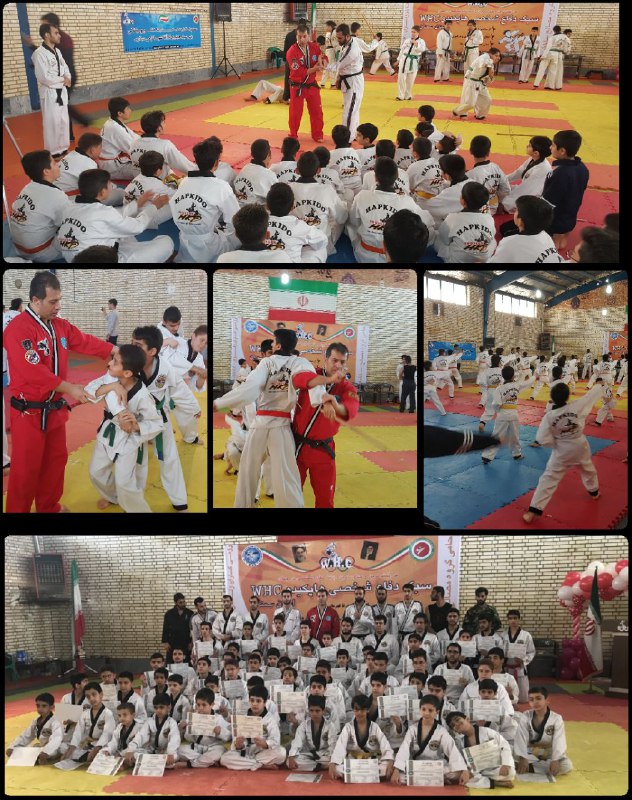 برگزاري استاژ فني هاپکيدو WHC در استان سمنان