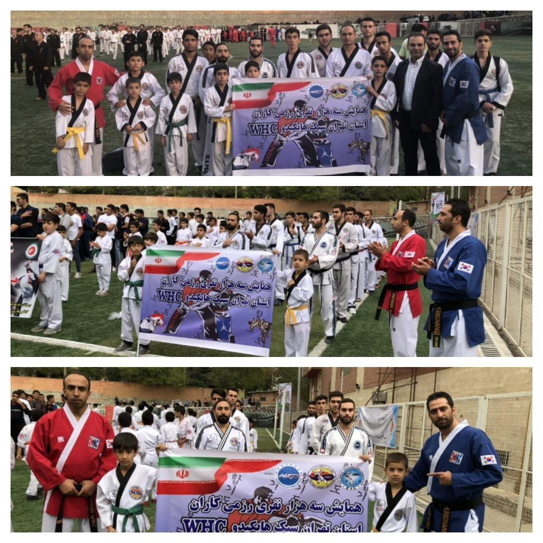 حضور هاپکيدوکاران پايتخت در همايش هنرهاي رزمي تهران